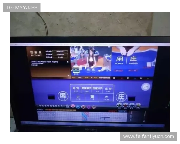 利用百家乐录单进行数据分析，优化你的游戏策略提升盈利空间